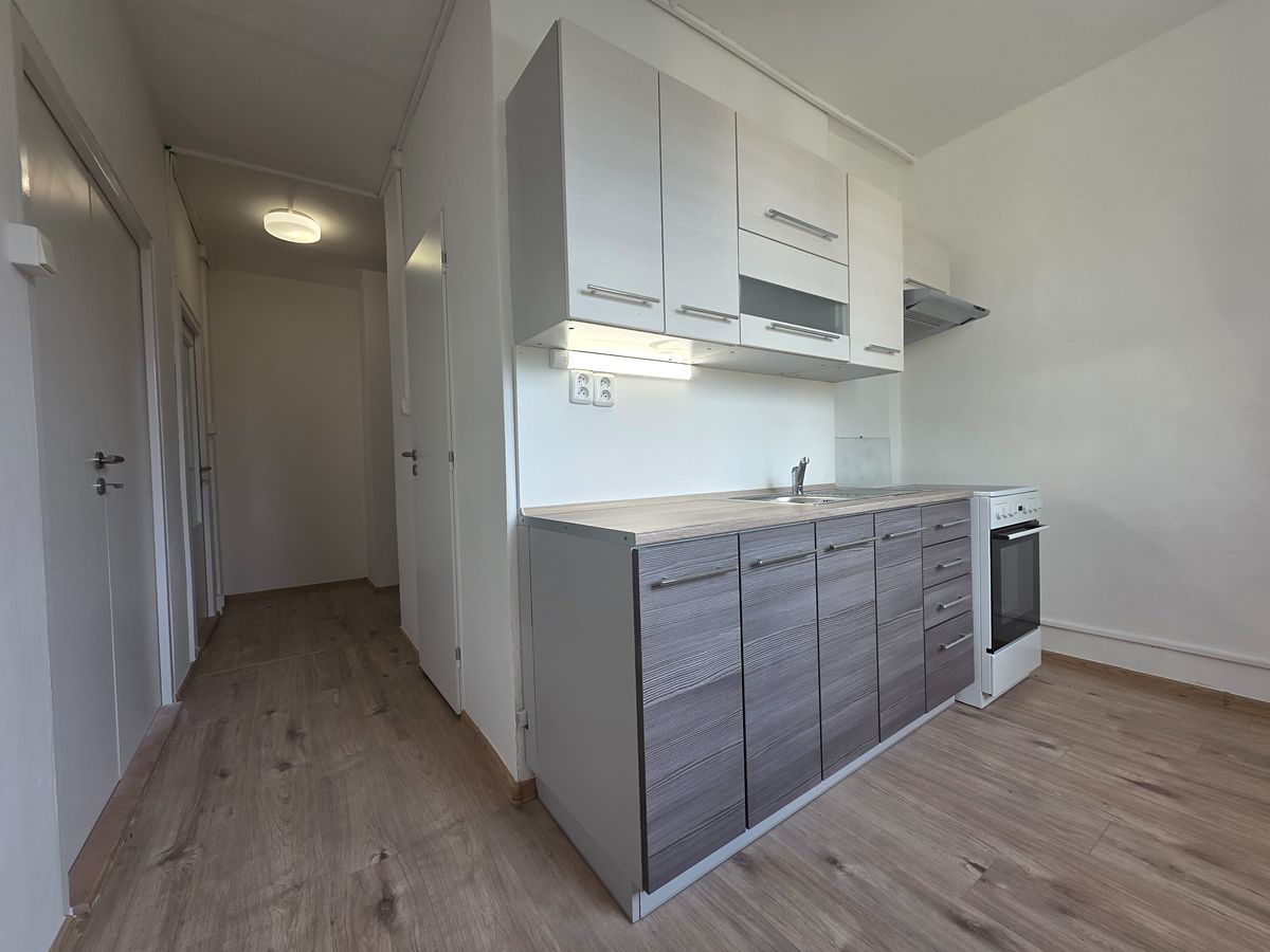 Pronájem bytu 2+1 55 m²